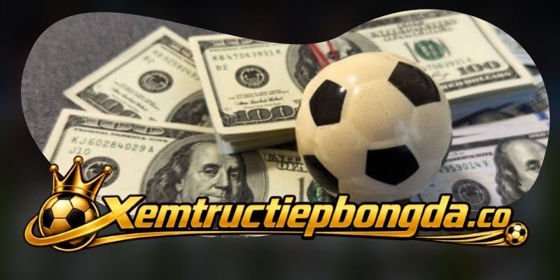 Bảng xếp hạng cập nhật vị trí và điểm số theo giải