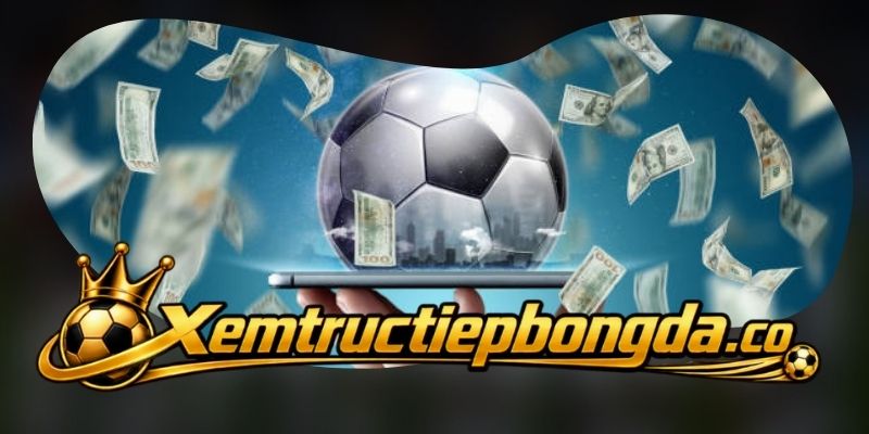Theo dõi nhóm dẫn đầu và cuộc đua cuối bảng