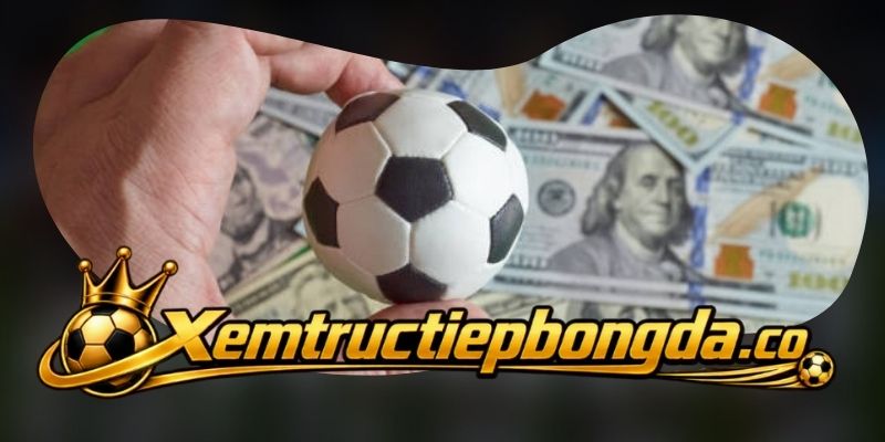 Câu hỏi thường gặp về cách tìm và xem trận