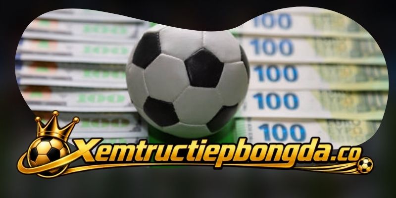 Cookie và dịch vụ bên ngoài trên website