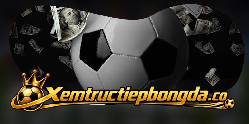 Kết quả bóng đá hôm nay theo ngày và giải