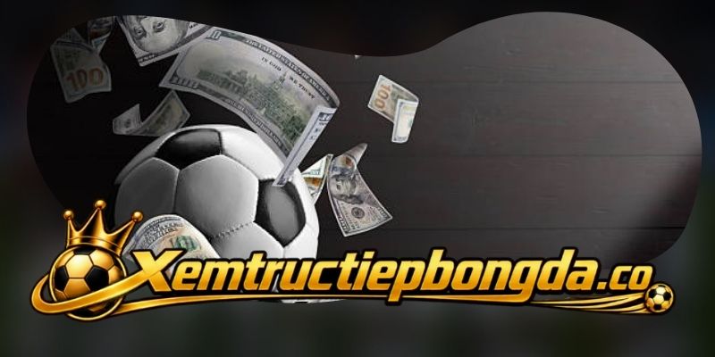 Lịch thi đấu hôm nay theo ngày và khung giờ