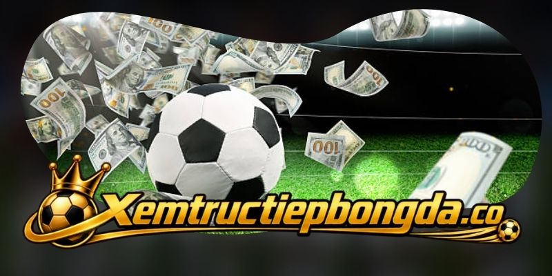 Liên Hệ khi gặp lỗi trong quá trình xem trận
