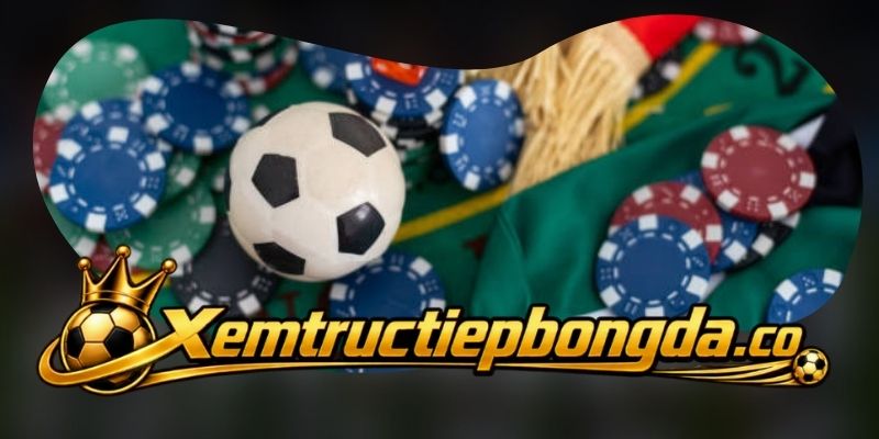 Tải App Trực Tiếp Bóng Đá theo đúng phiên bản