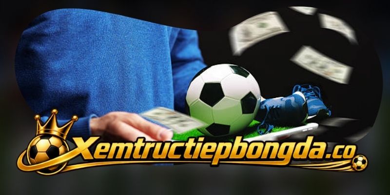 Xem trực tiếp bóng đá hôm nay theo từng khung giờ