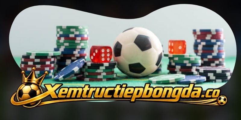 Các giải đấu nổi bật trên Trực Tiếp Bóng Đá