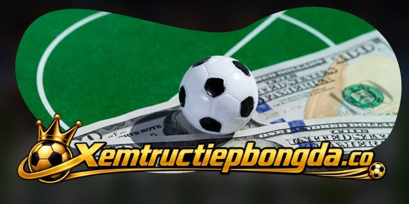 Về Chúng Tôi - Trực Tiếp Bóng Đá và định hướng phục vụ người xem