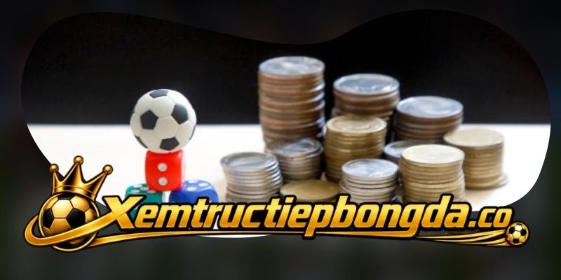 Trách nhiệm của Trực Tiếp Bóng Đá với nội dung hiển thị