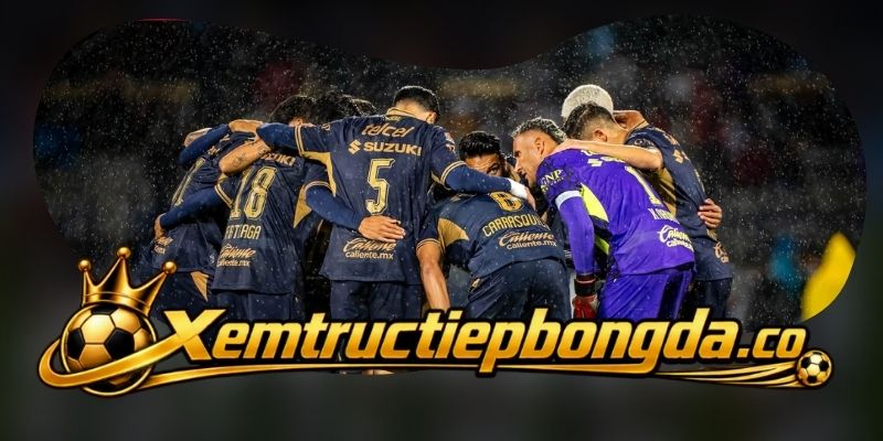 Pumas U.N.A.M. cần sửa chất lượng dứt điểm hơn là tăng thời lượng cầm bóng