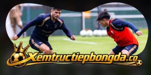 Nhận Định Pumas U.N.A.M. Vs Club Leon 10h00 11/09